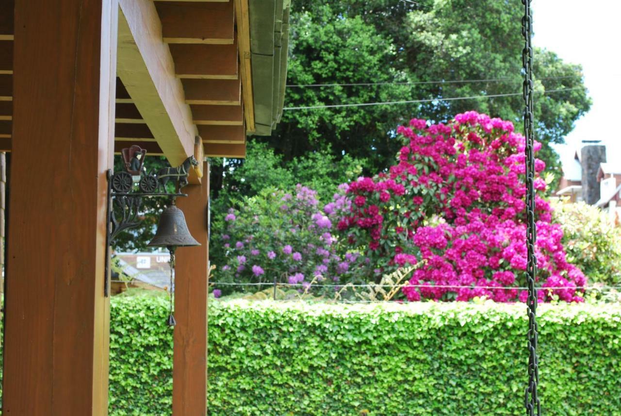 Frontera Pucon Hostel B&B Dış mekan fotoğraf